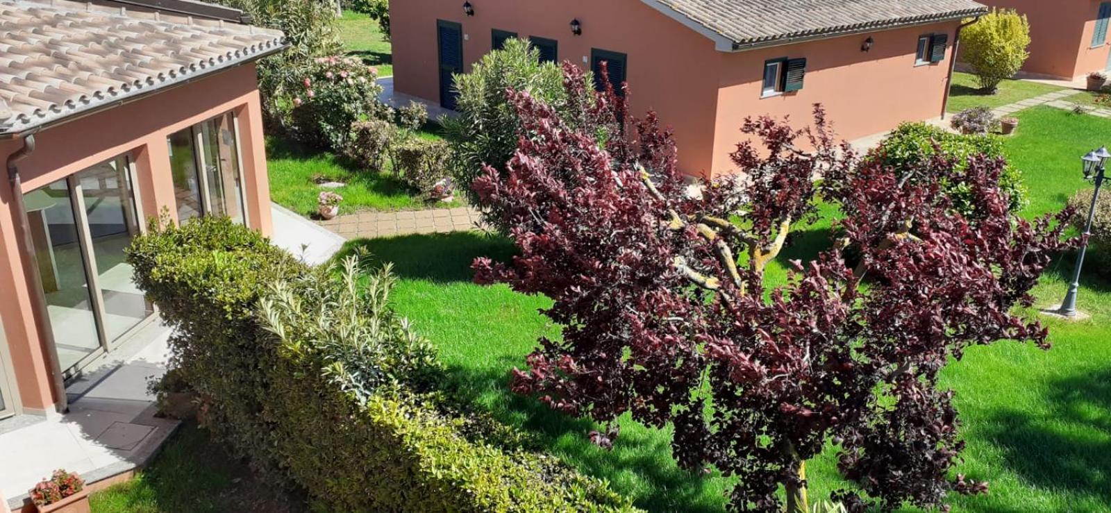 Agriturismo Agrifoglio Capalbio Exterior photo
